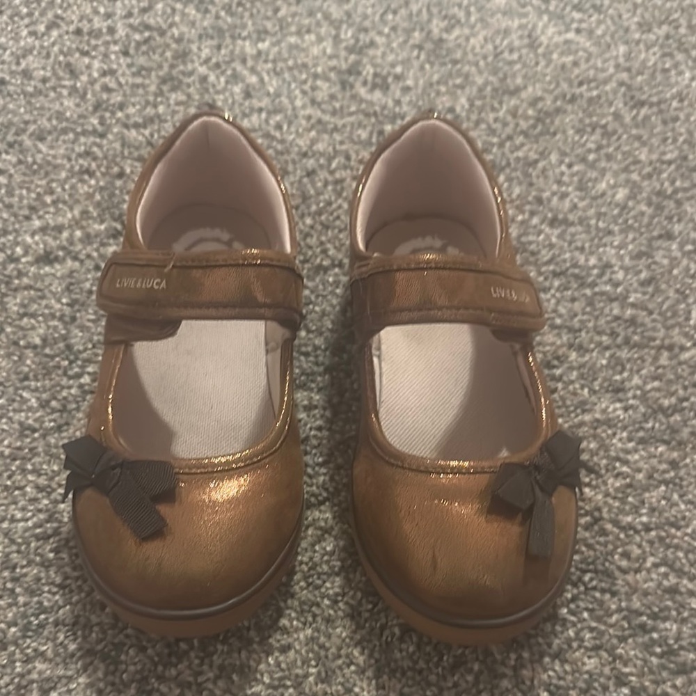 Livie & Luca Brown Dress Shoes with Velcro Strap
